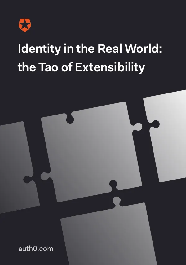 Identity in the Real World: the Tao of Extensibility